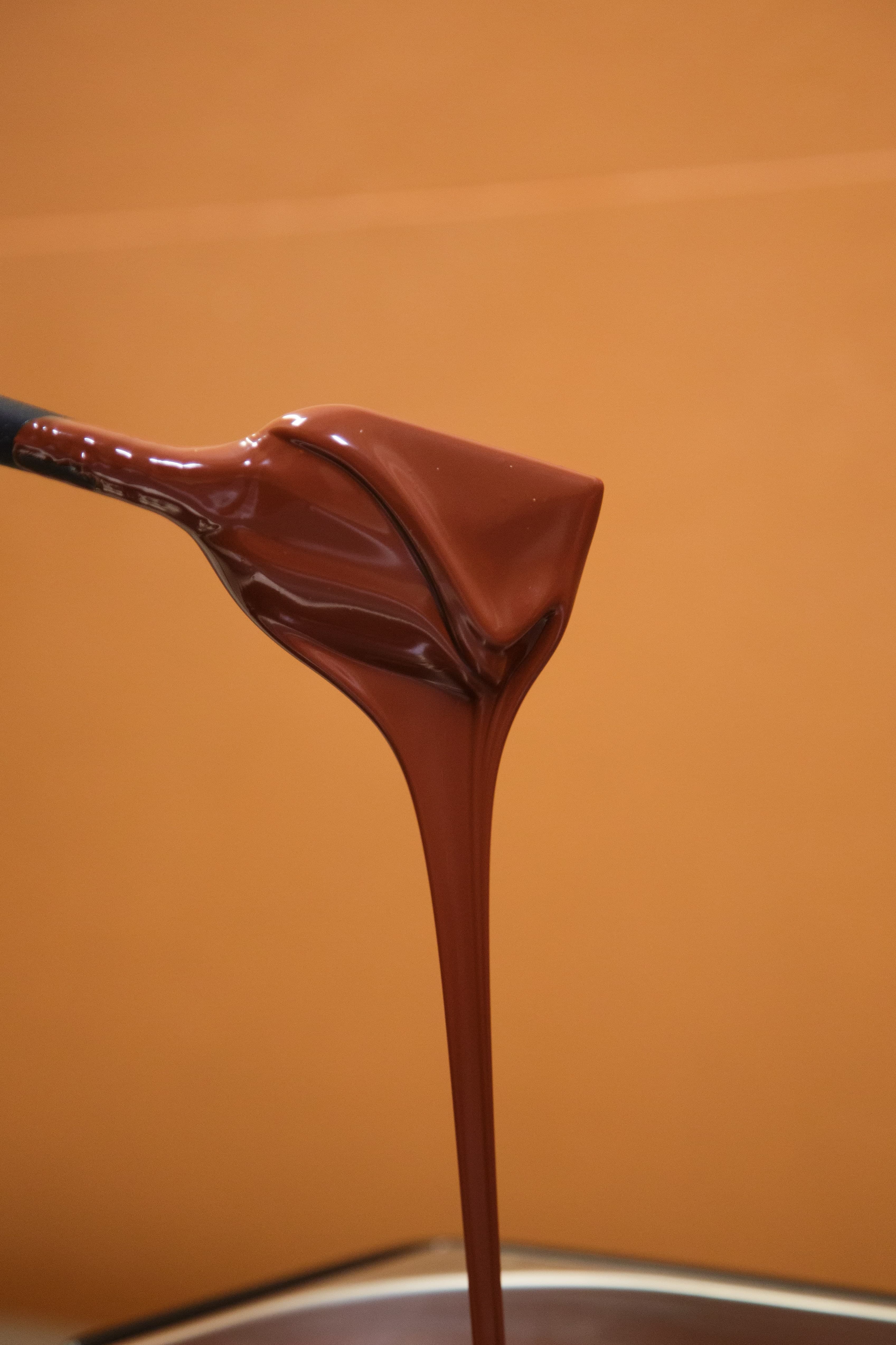 warsztaty czekoladowe dla dorosłych