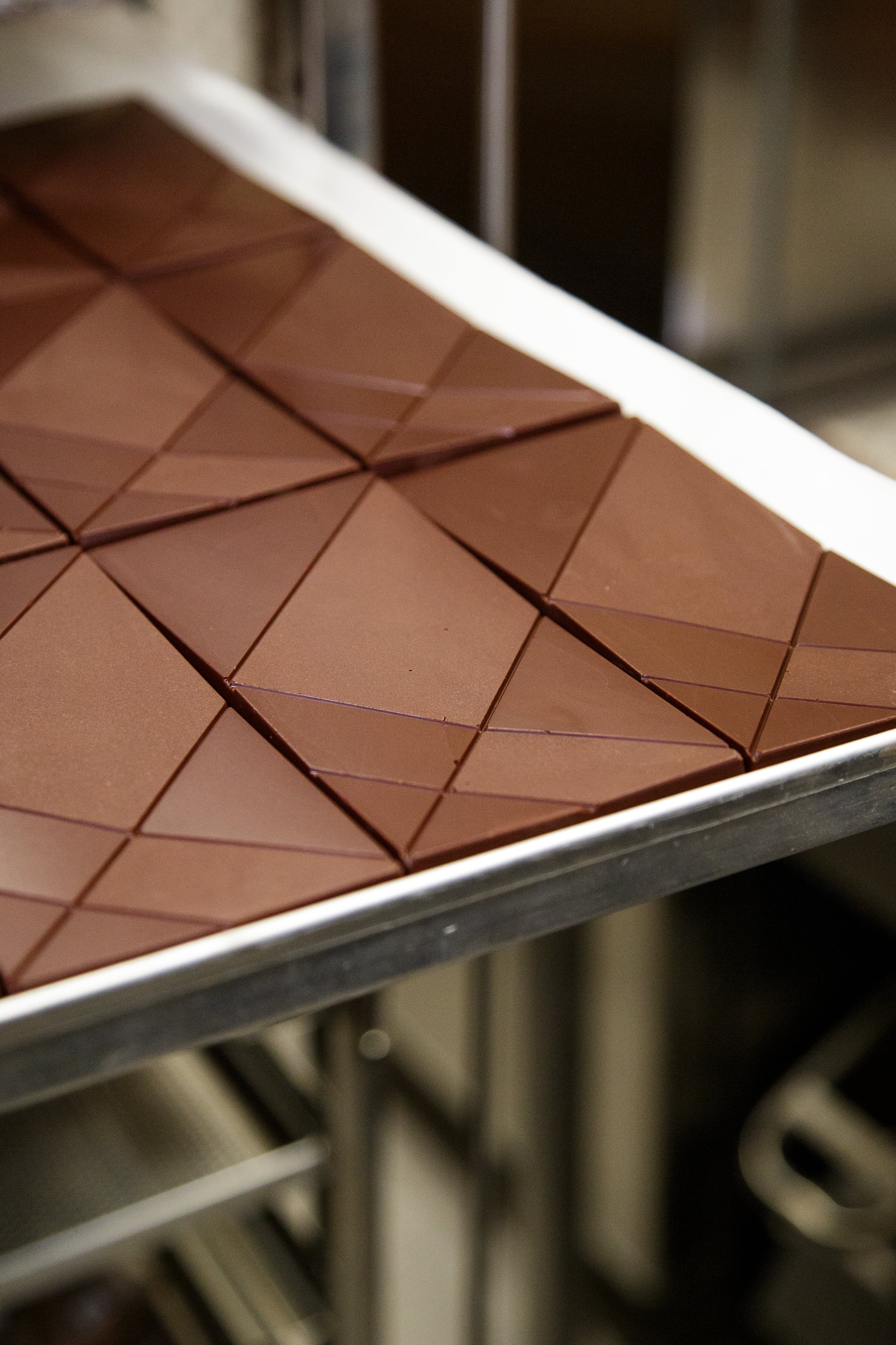 warsztaty czekoladowe dla dorosłych