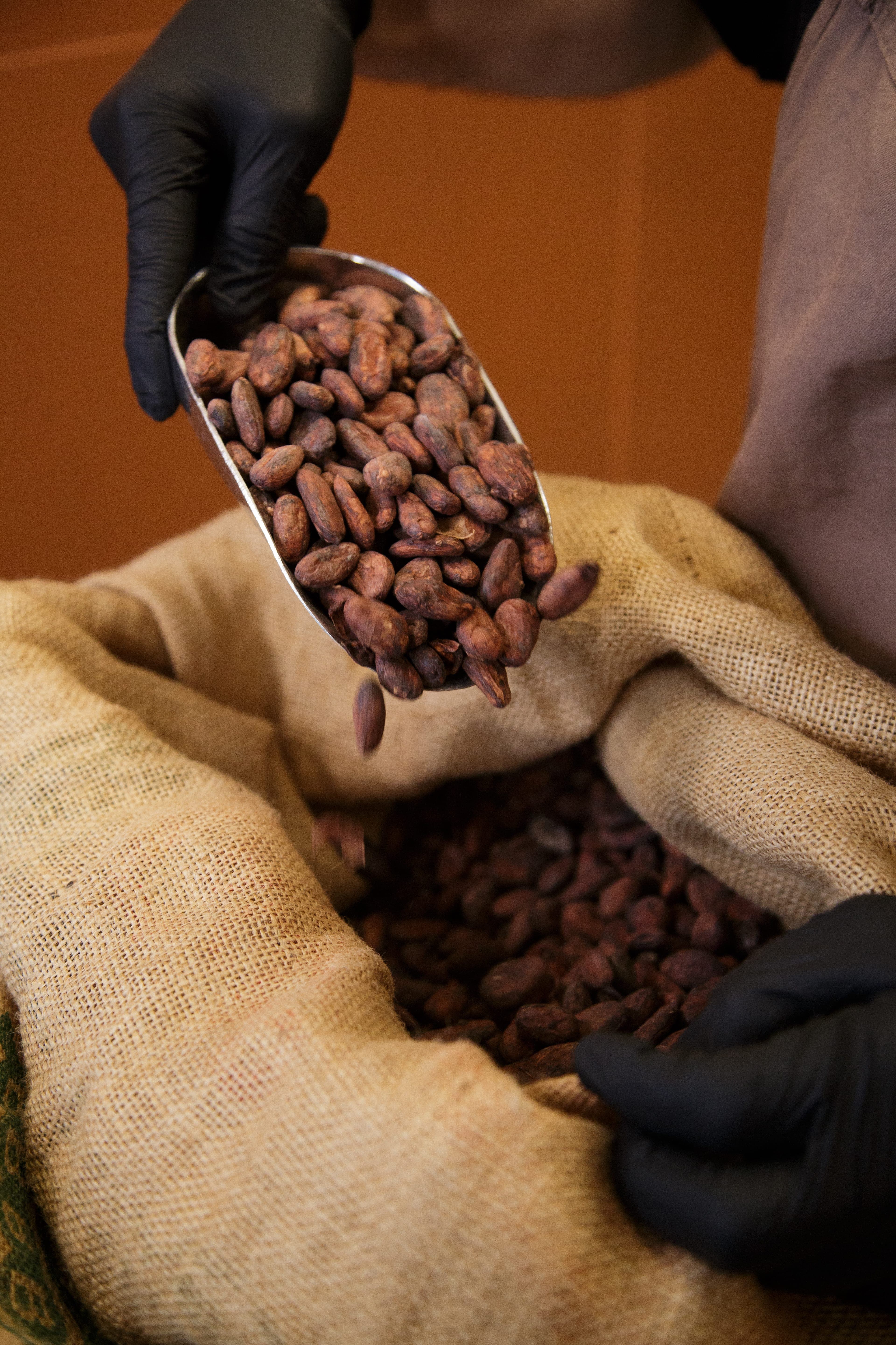 warsztaty czekoladowe dla dorosłych